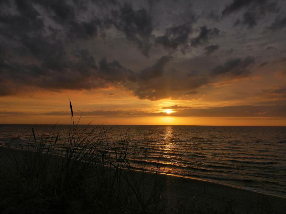 Pietrowe Domki Klif 6Os,Duze Tarasy Dzika Plaza Laka Bociek Duze Tarasy Szlaki Rowerowe Pieski 25Zldzien Debina (Ustka) Exterior foto